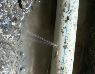 新巴尔虎左测漏水哪家好