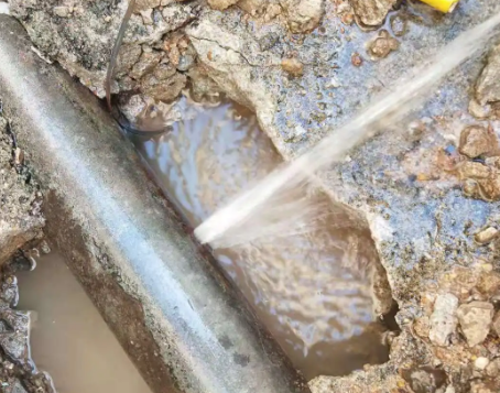 新巴尔虎左测漏水公司