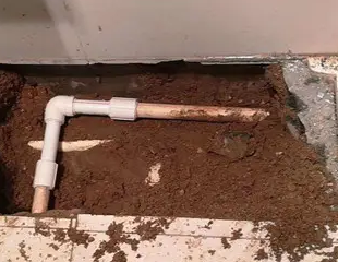 新巴尔虎左测漏水哪家好