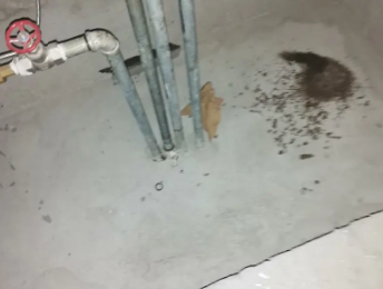 新巴尔虎左卫生间测漏水价格明细