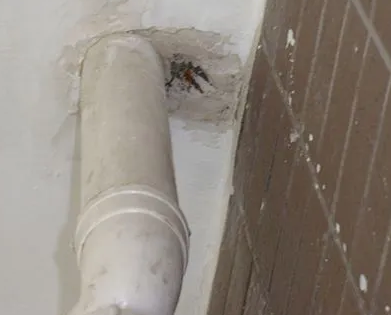 新巴尔虎左漏水检测哪家好